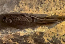 اكتشاف مقبرة إسلامية تعود إلى العصور الوسطى في بلدة إل تورو