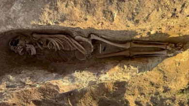 اكتشاف مقبرة إسلامية تعود إلى العصور الوسطى في بلدة إل تورو